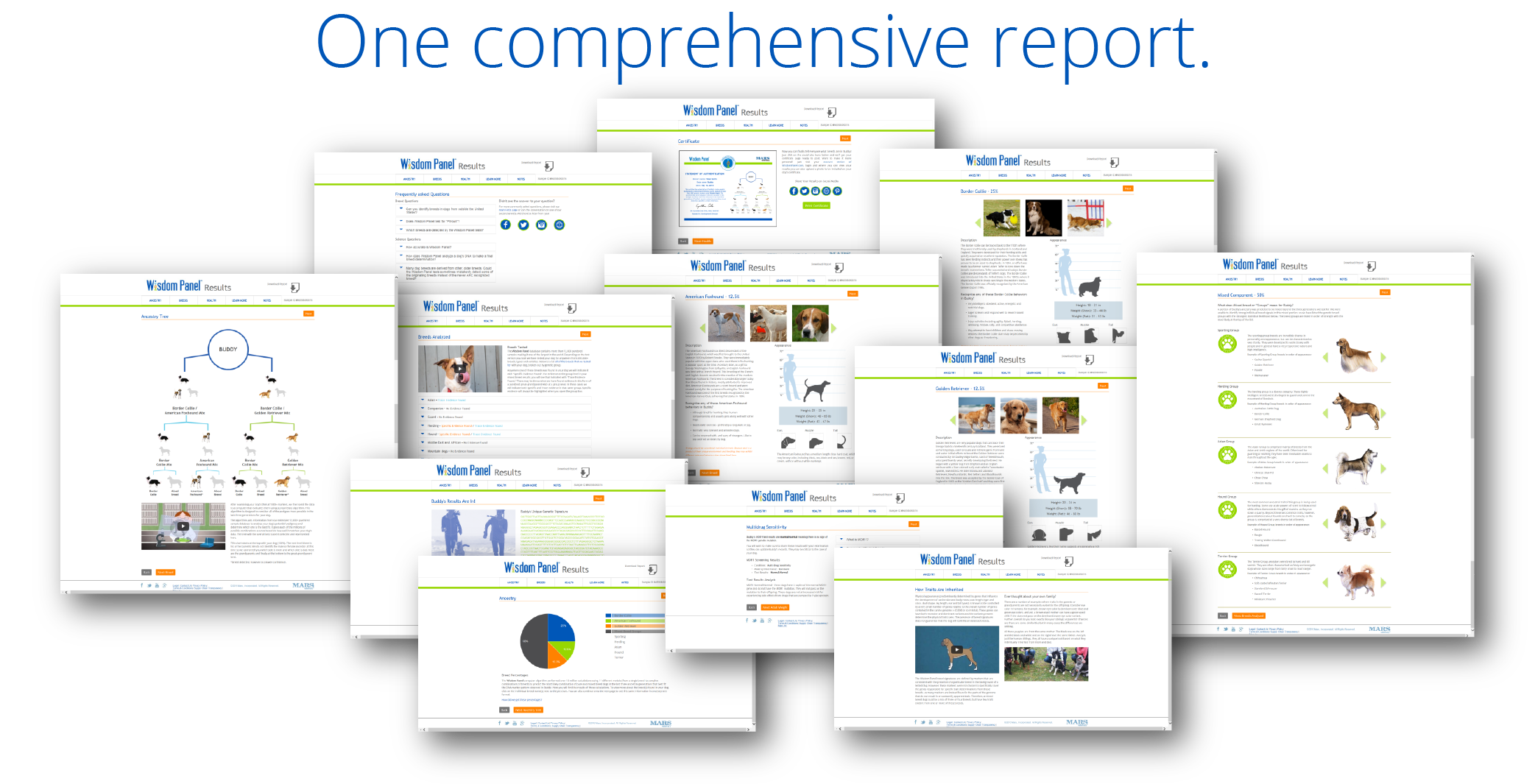 Wisdom Panel Dog Breed DNA Test Report Examples