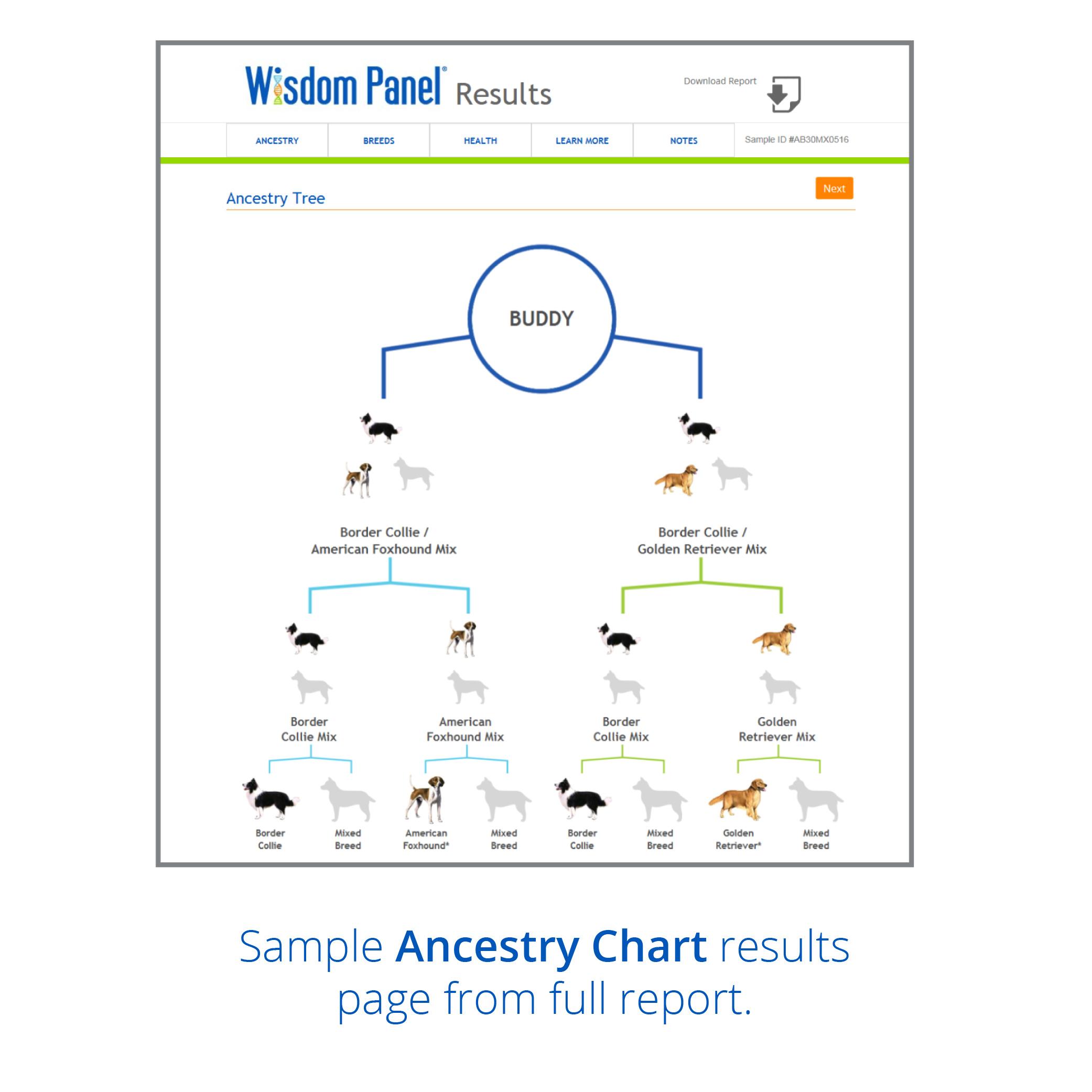 Wisdom Panel Dog Breed DNA Test Sample Ancestry Chart